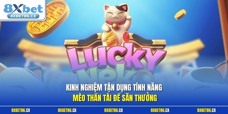 Kinh nghiệm tận dụng tính năng Mèo Thần Tài để săn thưởng 